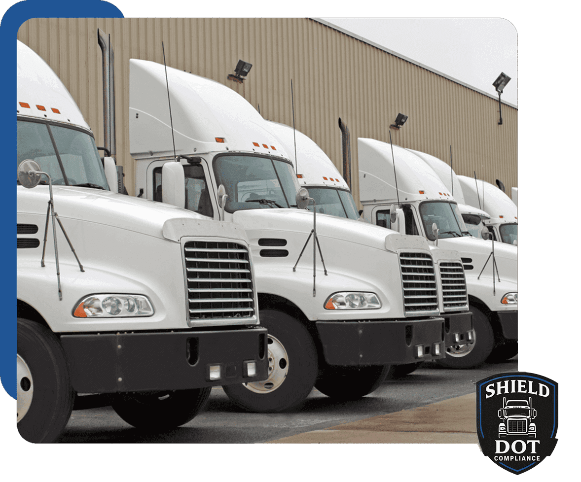 A row of white semi-trucks parked side by side outside a warehouse.